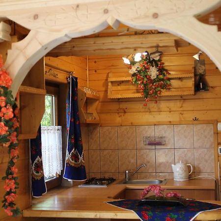 Domek Pod Zielonym Lasem Zakopane Dış mekan fotoğraf