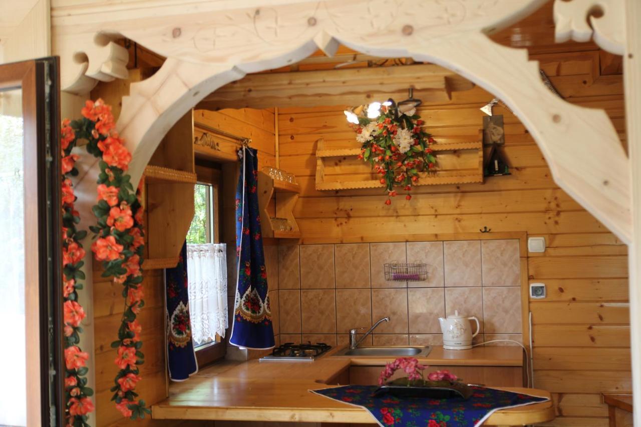 Domek Pod Zielonym Lasem Zakopane Dış mekan fotoğraf