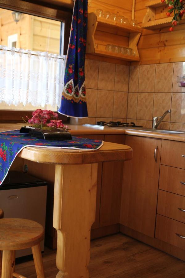 Domek Pod Zielonym Lasem Zakopane Dış mekan fotoğraf