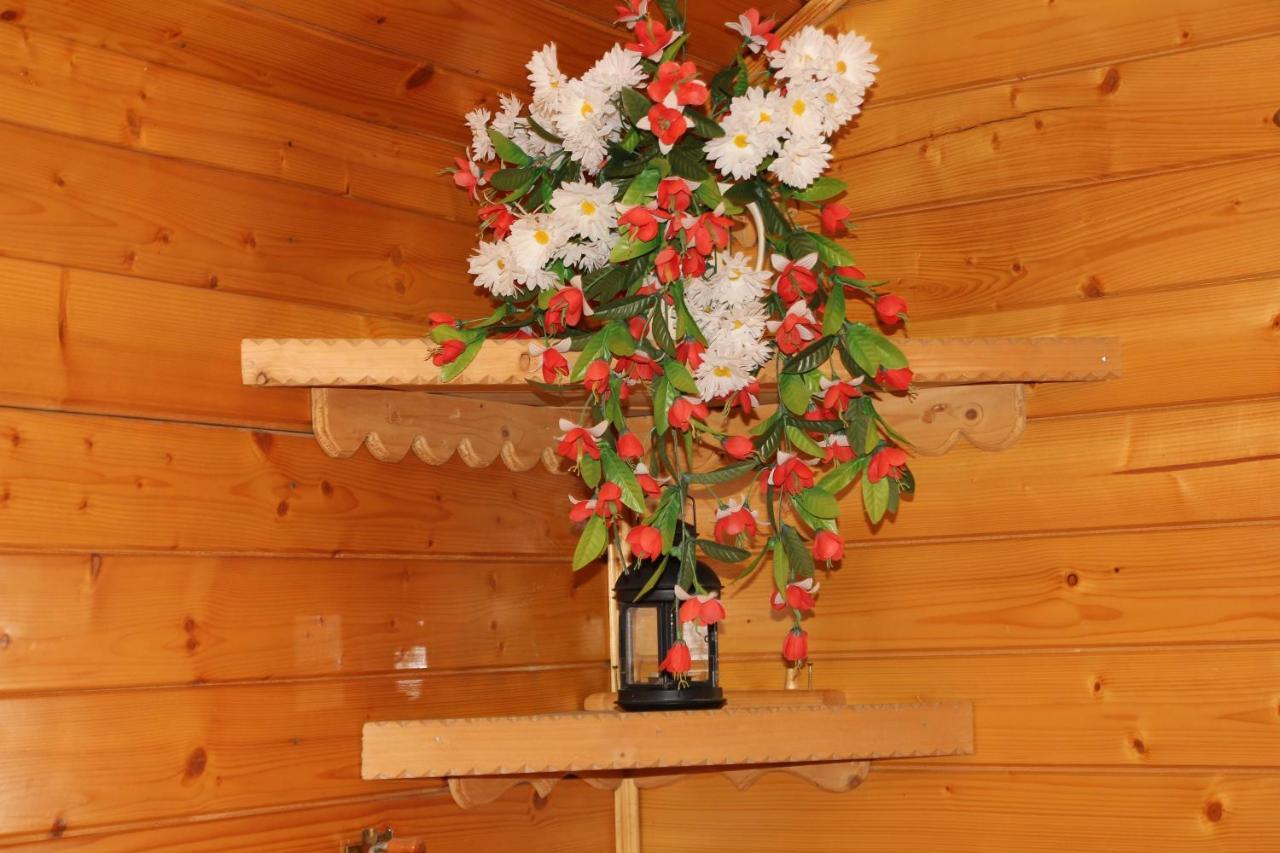 Domek Pod Zielonym Lasem Zakopane Dış mekan fotoğraf