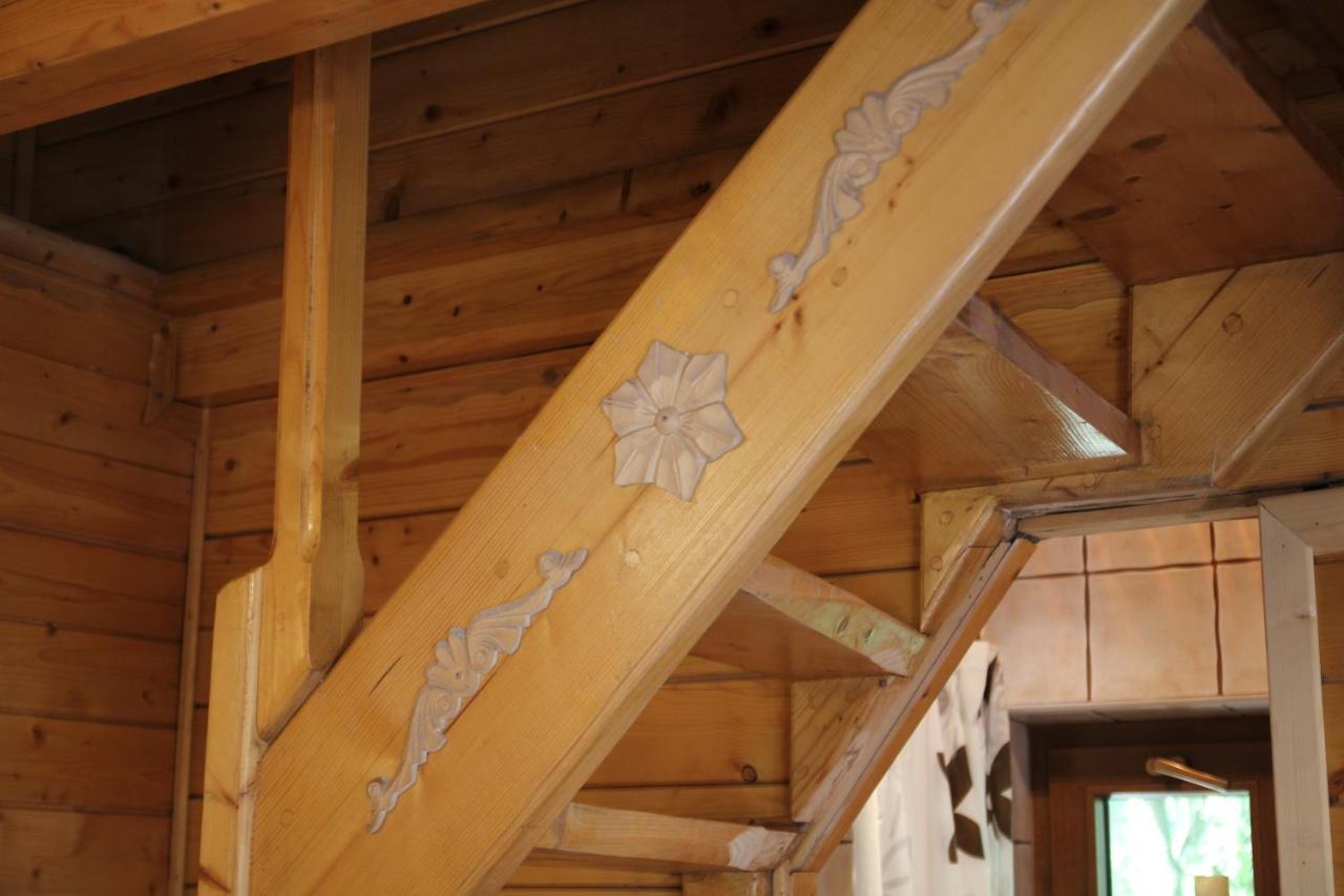 Domek Pod Zielonym Lasem Zakopane Dış mekan fotoğraf