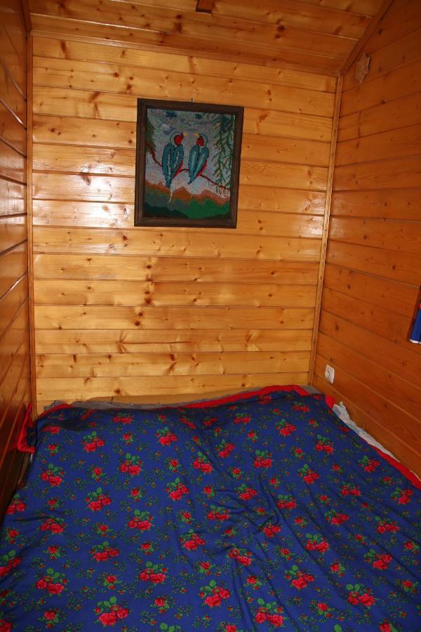 Domek Pod Zielonym Lasem Zakopane Dış mekan fotoğraf