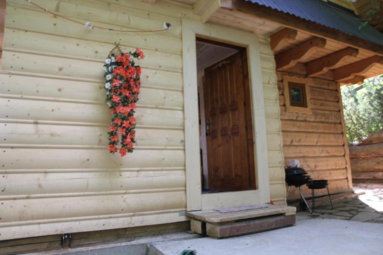 Domek Pod Zielonym Lasem Zakopane Dış mekan fotoğraf