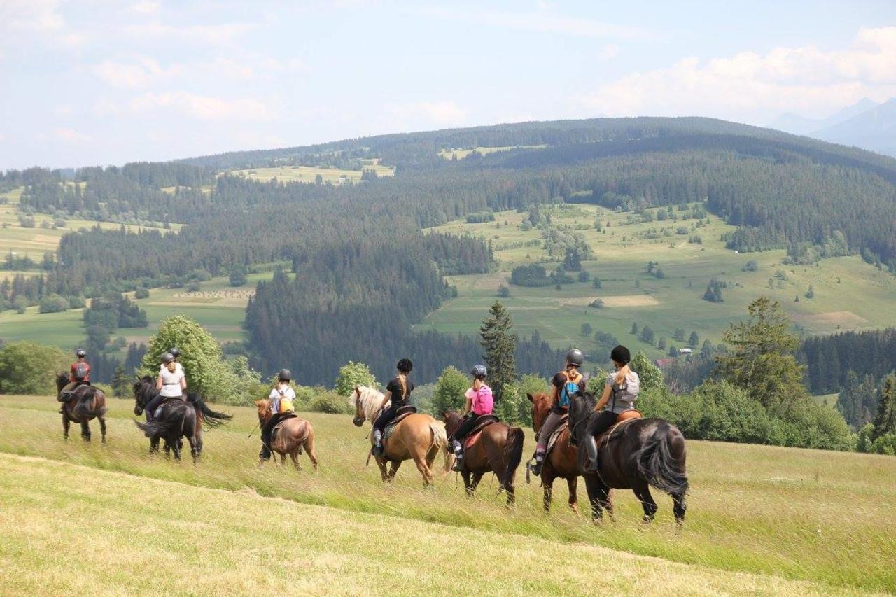 Domek Pod Zielonym Lasem Zakopane Dış mekan fotoğraf