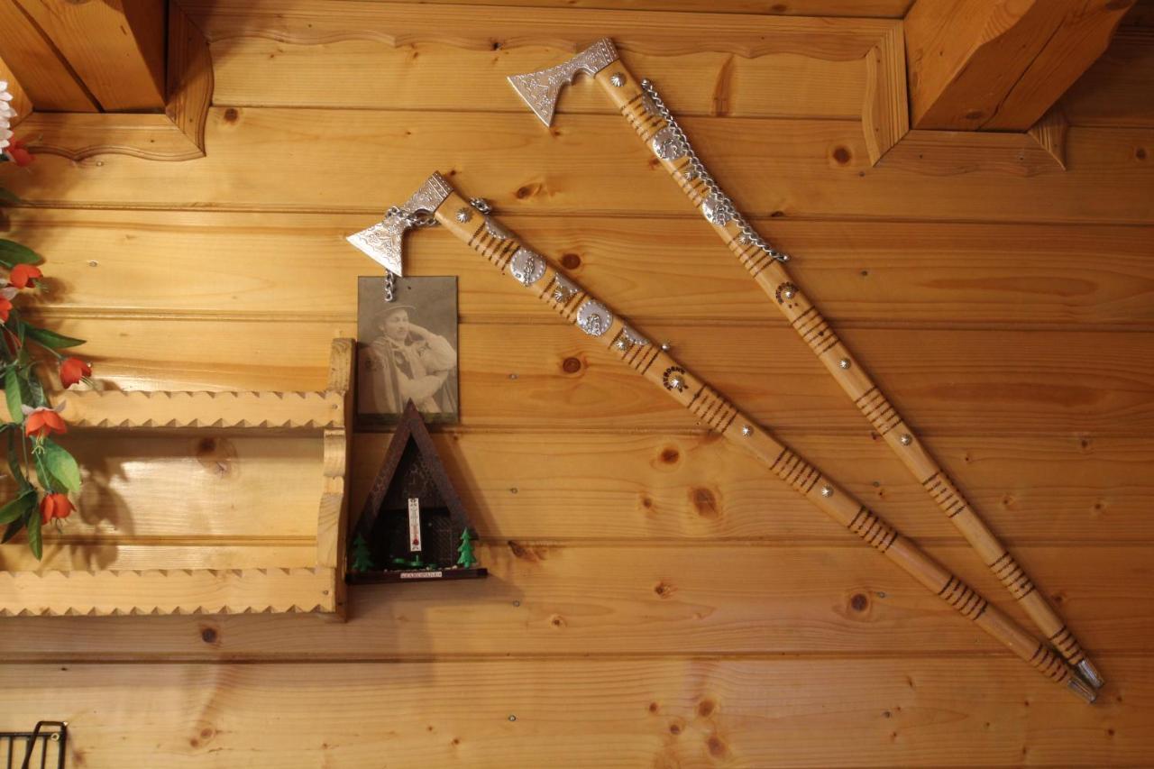 Domek Pod Zielonym Lasem Zakopane Dış mekan fotoğraf
